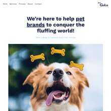 don Gata studio website